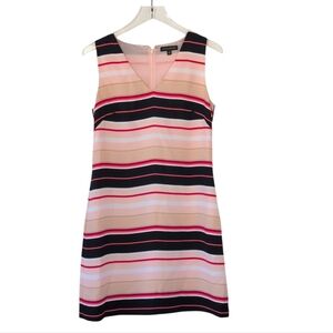 Banana Republic Pink and Black Striped Mini Dress